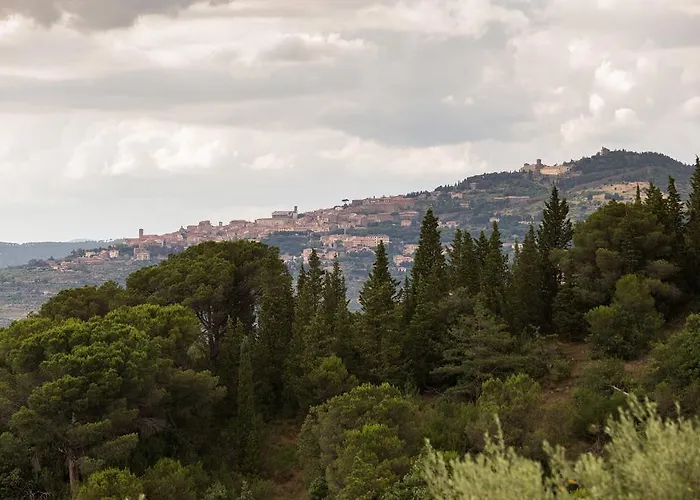 Teresa Кортона