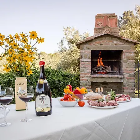 Teresa * 코르토나